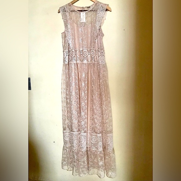 SUNDANCE Champagne Lace Faythe Maxi Dress - Picture 7 of 14